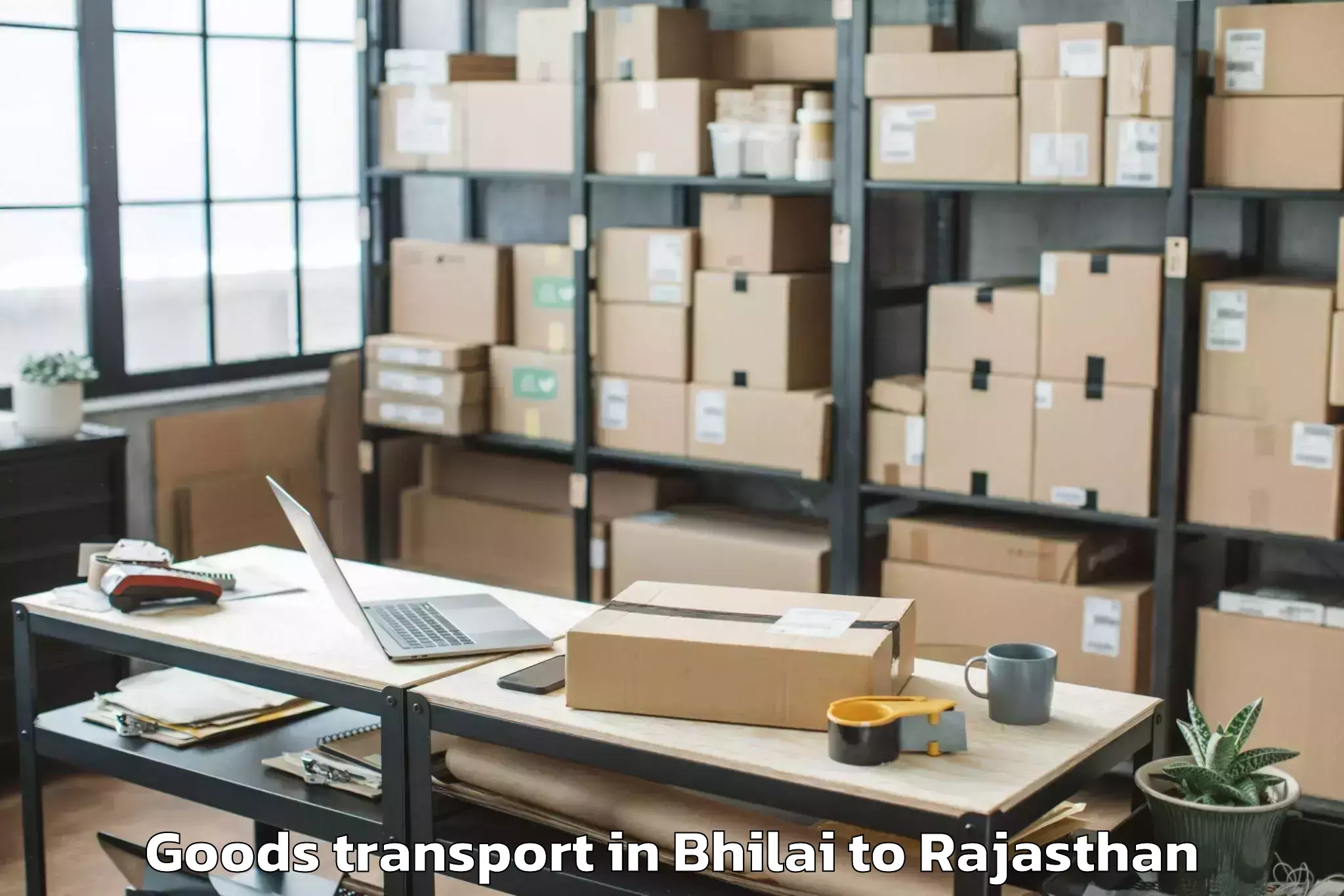 Expert Bhilai to Bharatpur Goods Transport